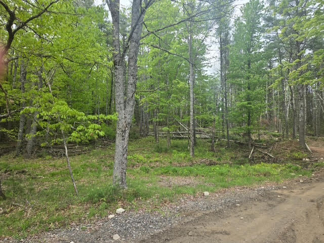 30 Marshall Valley Road Windham