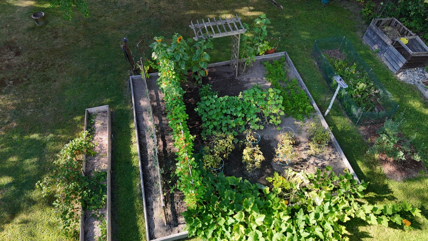 garden 3