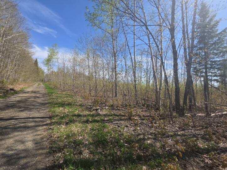 Map4Lot4B Off Conroy Road Perham