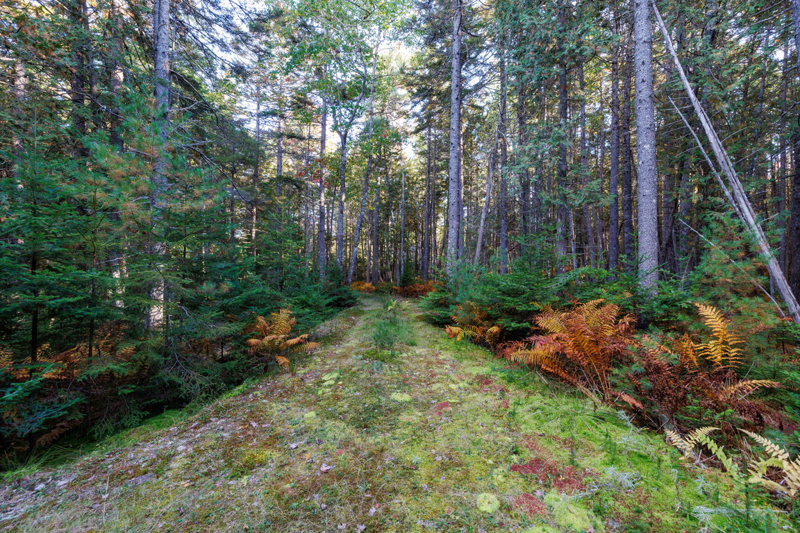 08-Bear Spring Lane Land-DTP
