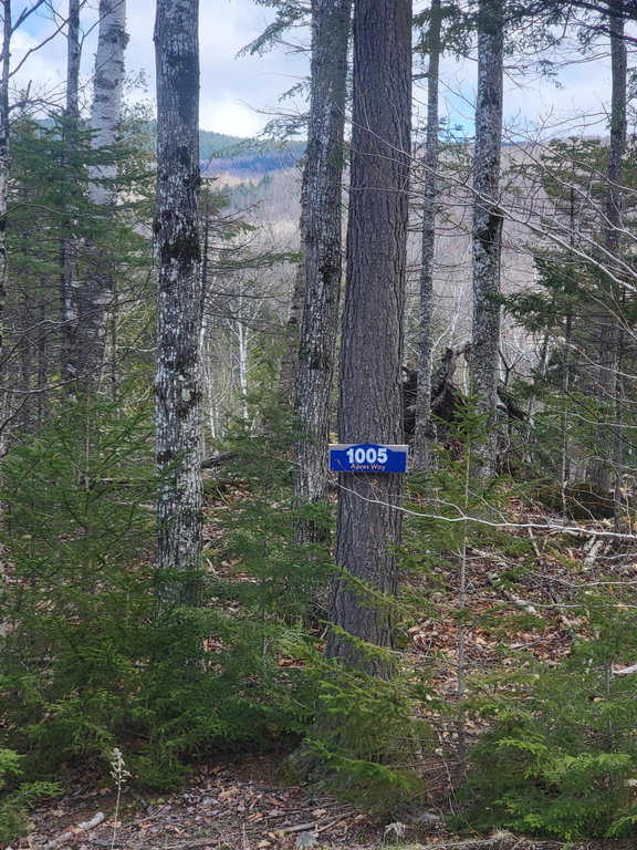 1005 Apres Way Carrabassett Valley