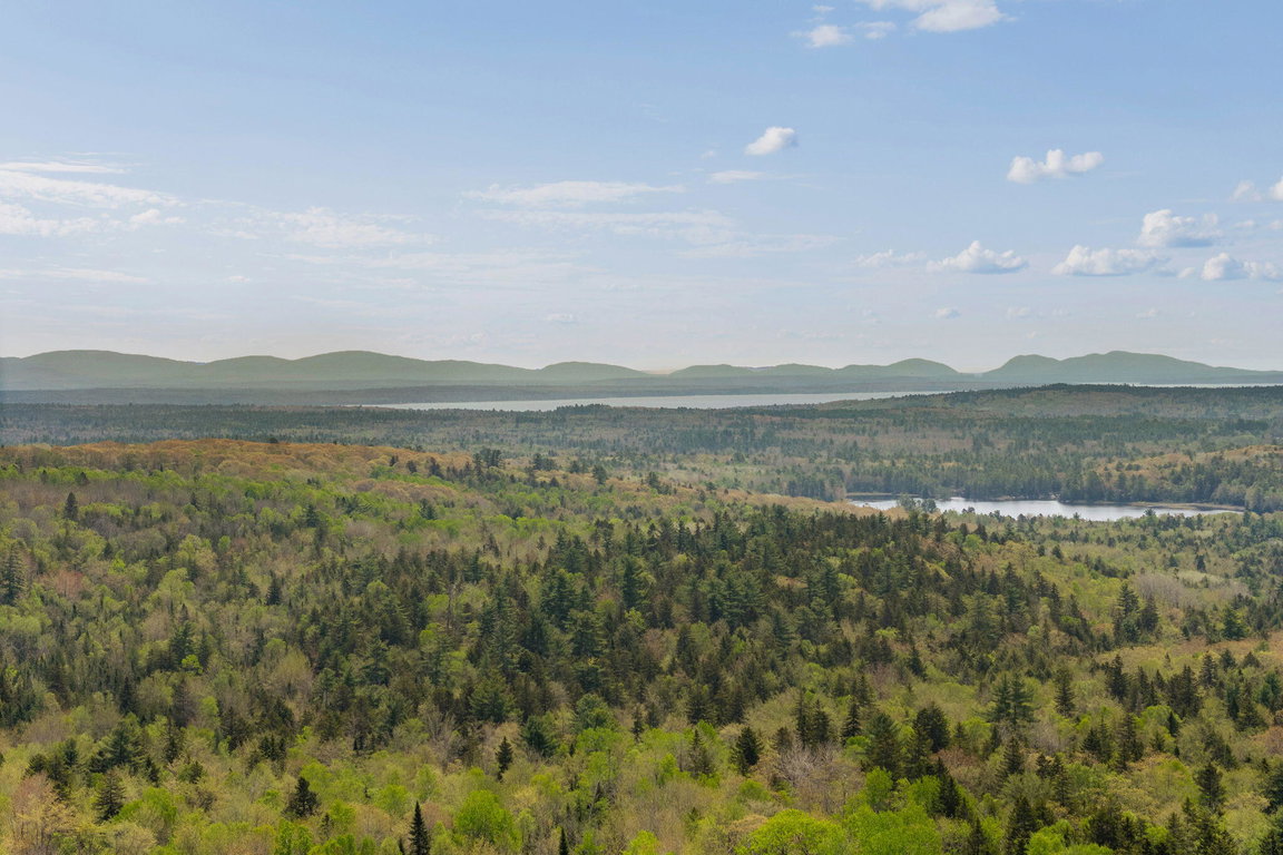 73-web-or-mls-167-twin-hill-rd