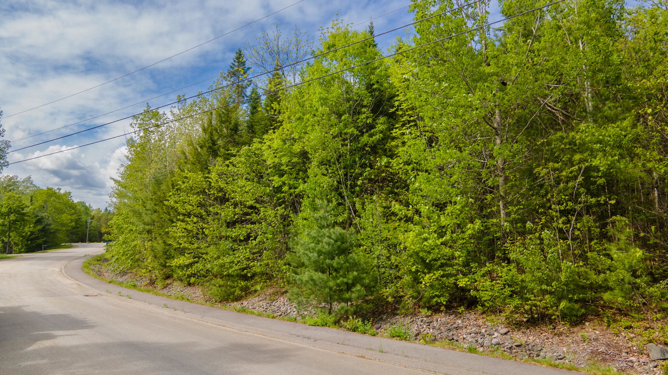 Lot 14 Grant Road Orono