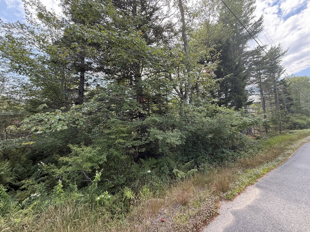 MAP 3 LOT 66 & 66-2