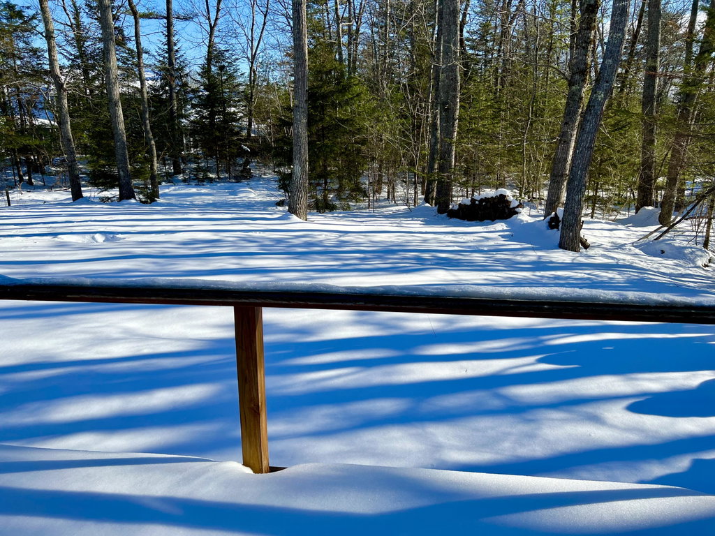 Back deck