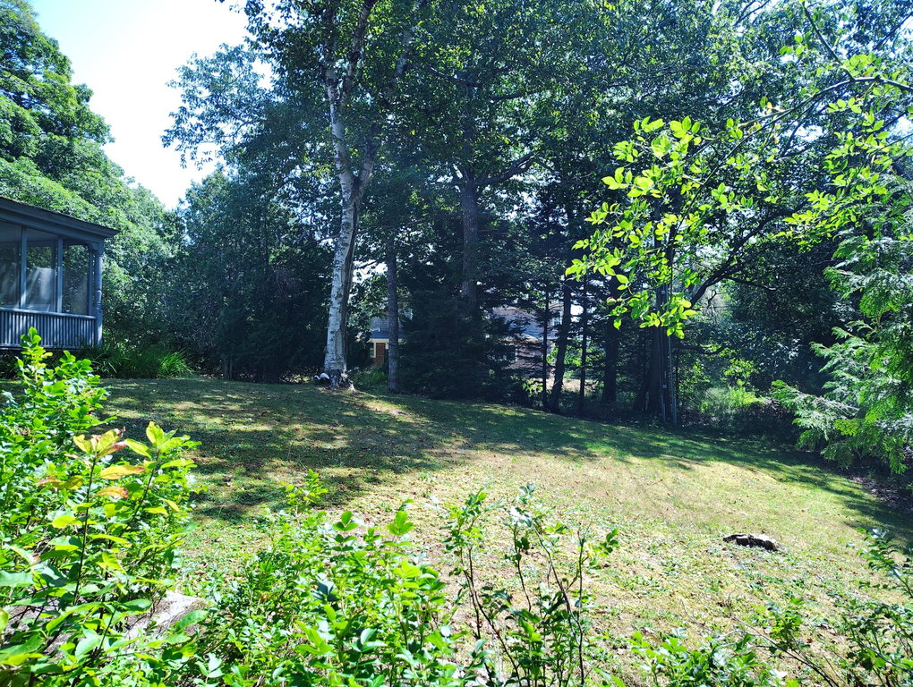 YARD