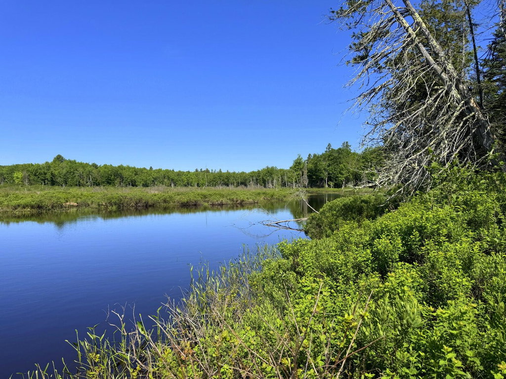 Lot 2B Kingfield Road New Vineyard
