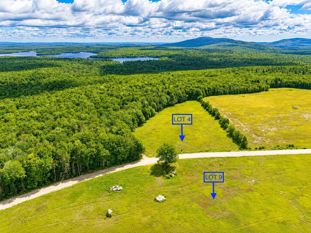 LOT 4 & 9 Marked