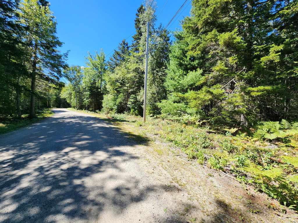 Mattson Lane, Blue Hill