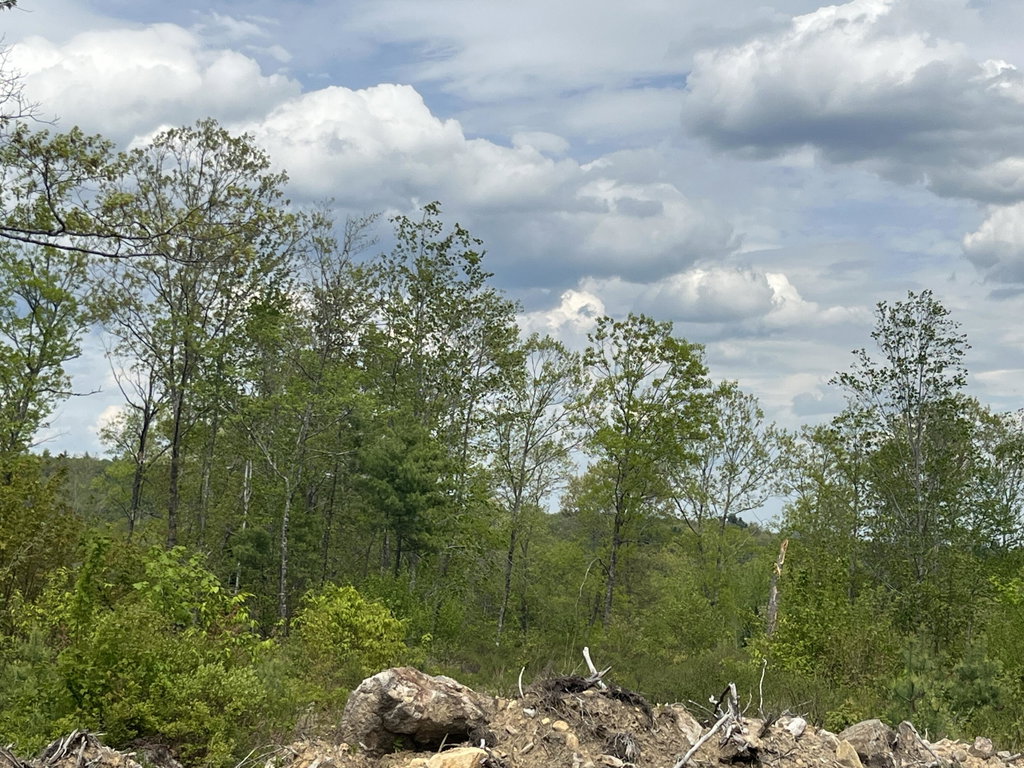 Lot A8 West Road Waterboro
