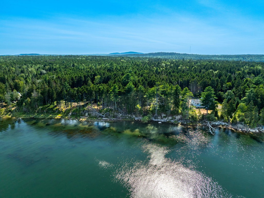Shoreline