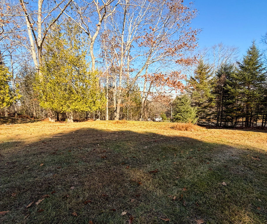 Beautiful large lawn