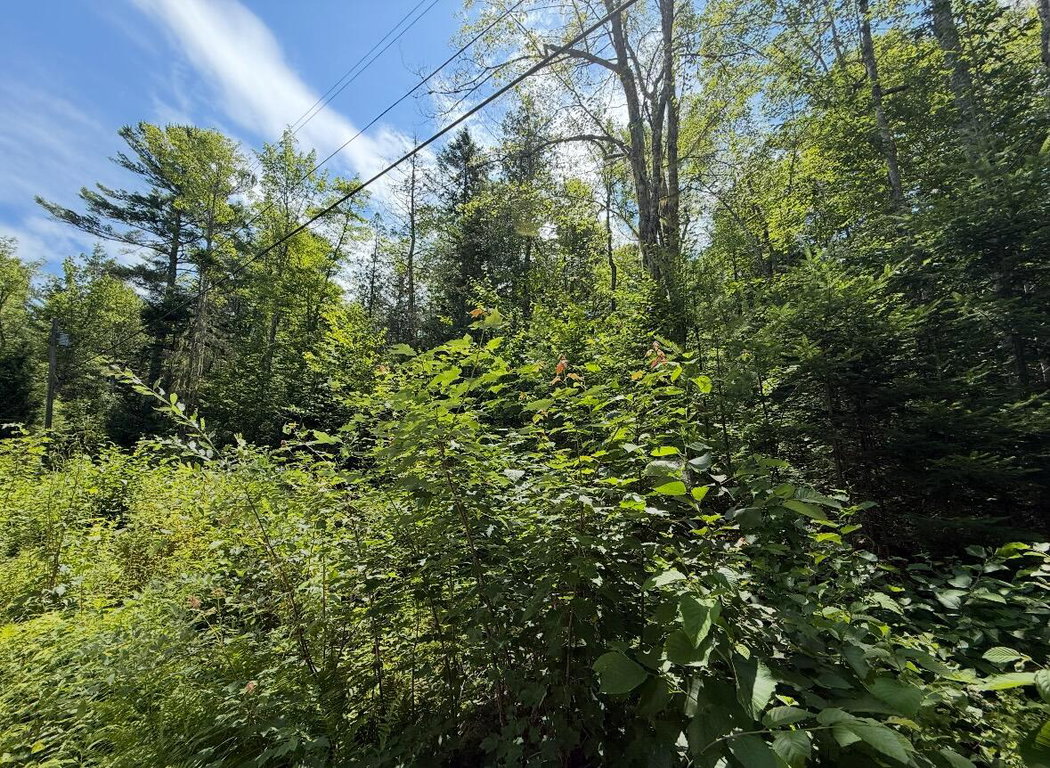 Lot 23 Webb Pond Rd