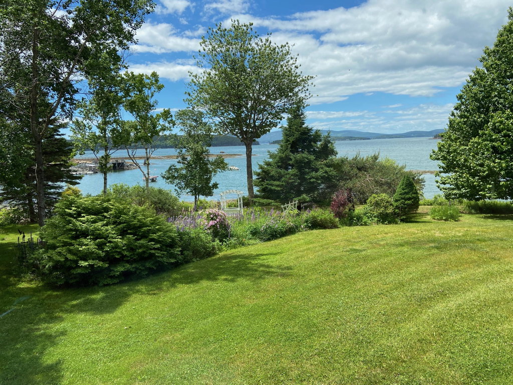 Lawn and landscaping