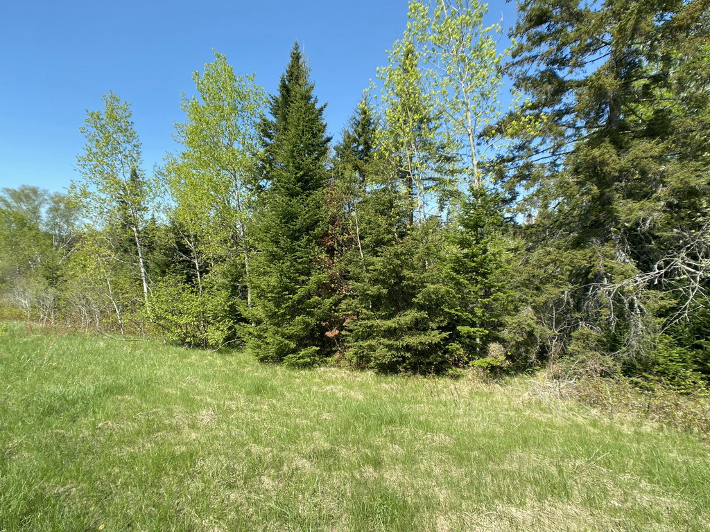 4-31 Caribou Road Cyr Plt