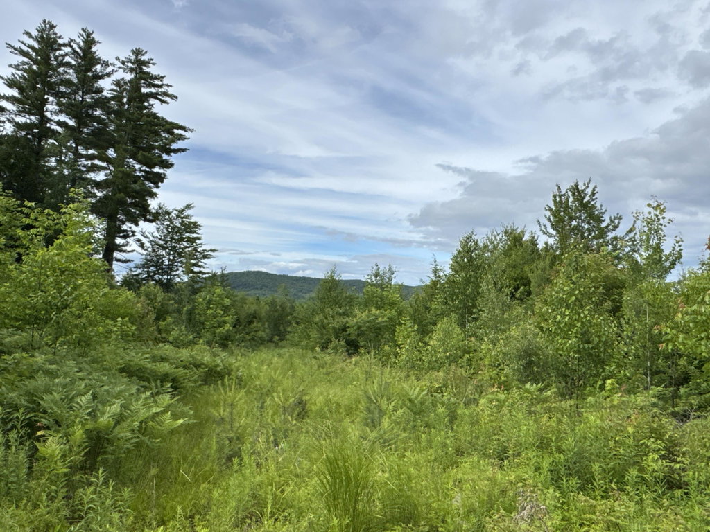 L52 Bridgton Road Sweden