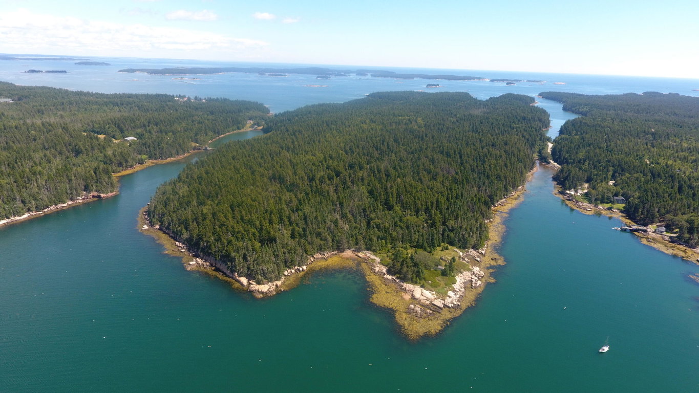291 Black Duck Cove Road Beals
