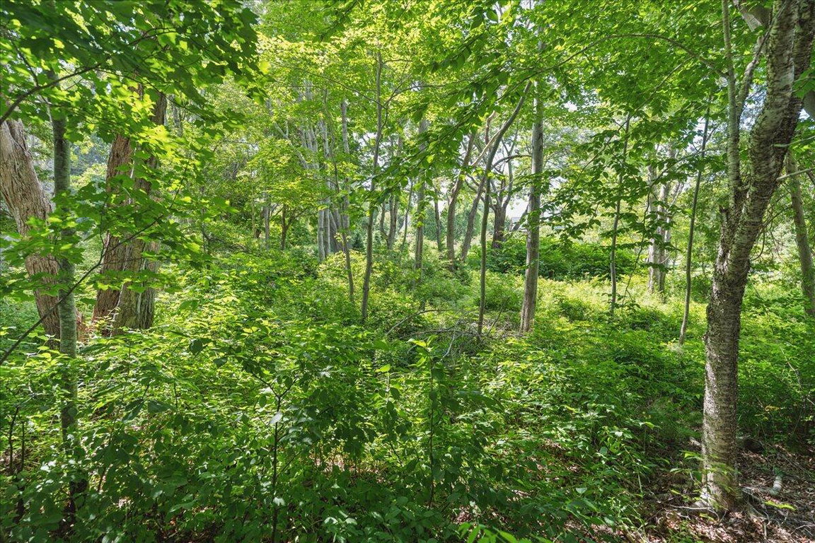09-Land - Northeast Harbor-1