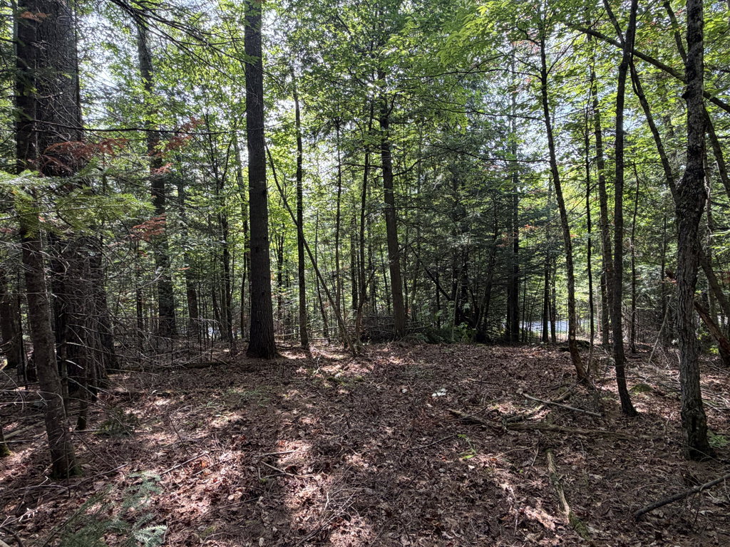 Lot 4,5,6 Holley Road Farmington