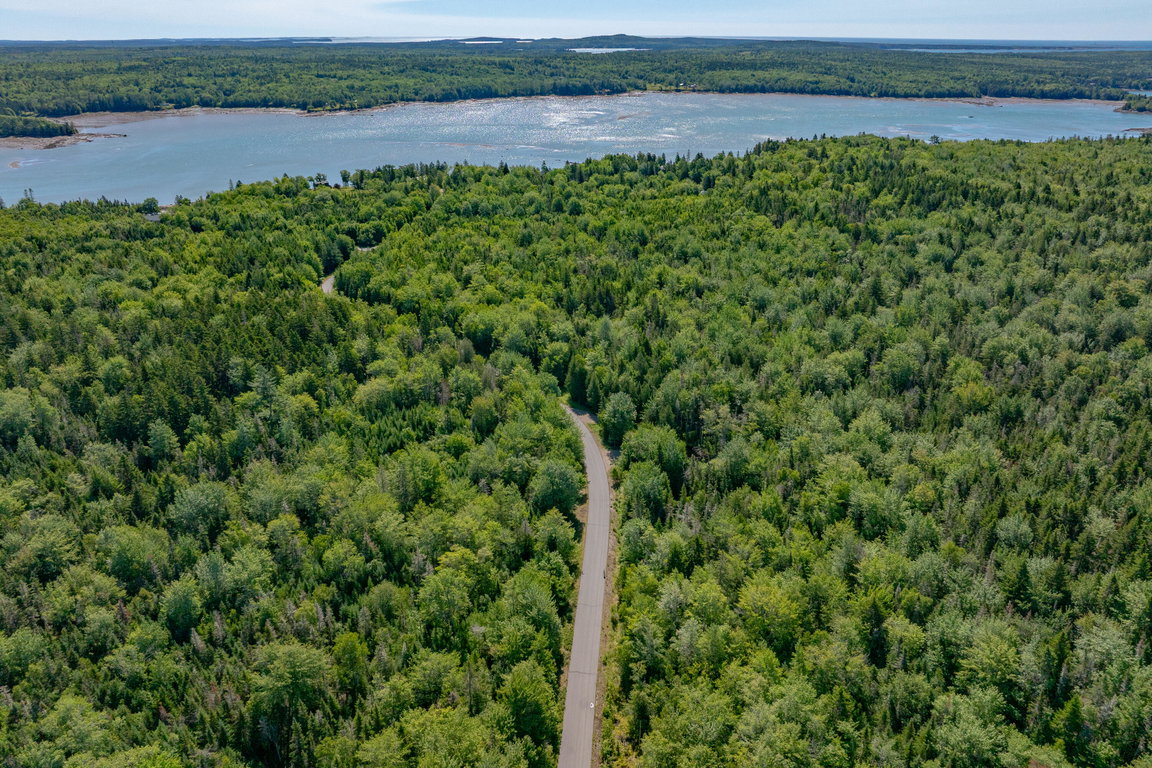 21-Lot 12_ Merganser Drive-DTP