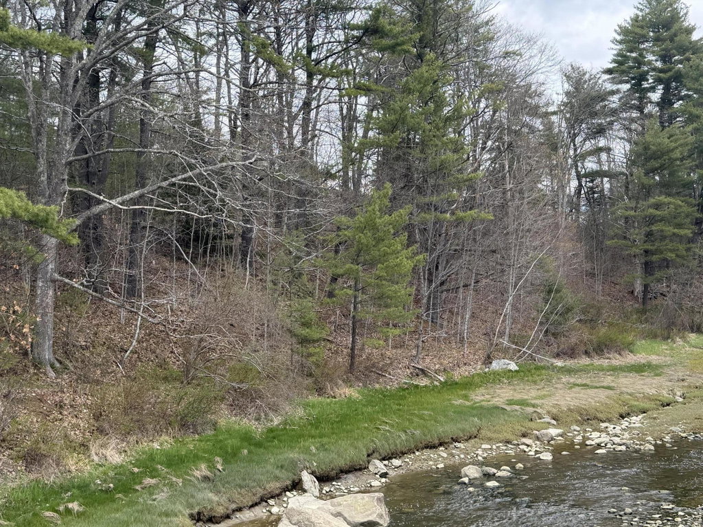 Lot R05129 Polly Clark Brook Wiscasset
