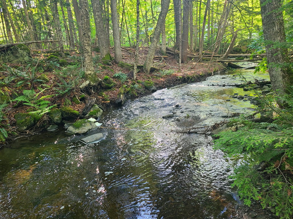 36 Ladd Road Sebec
