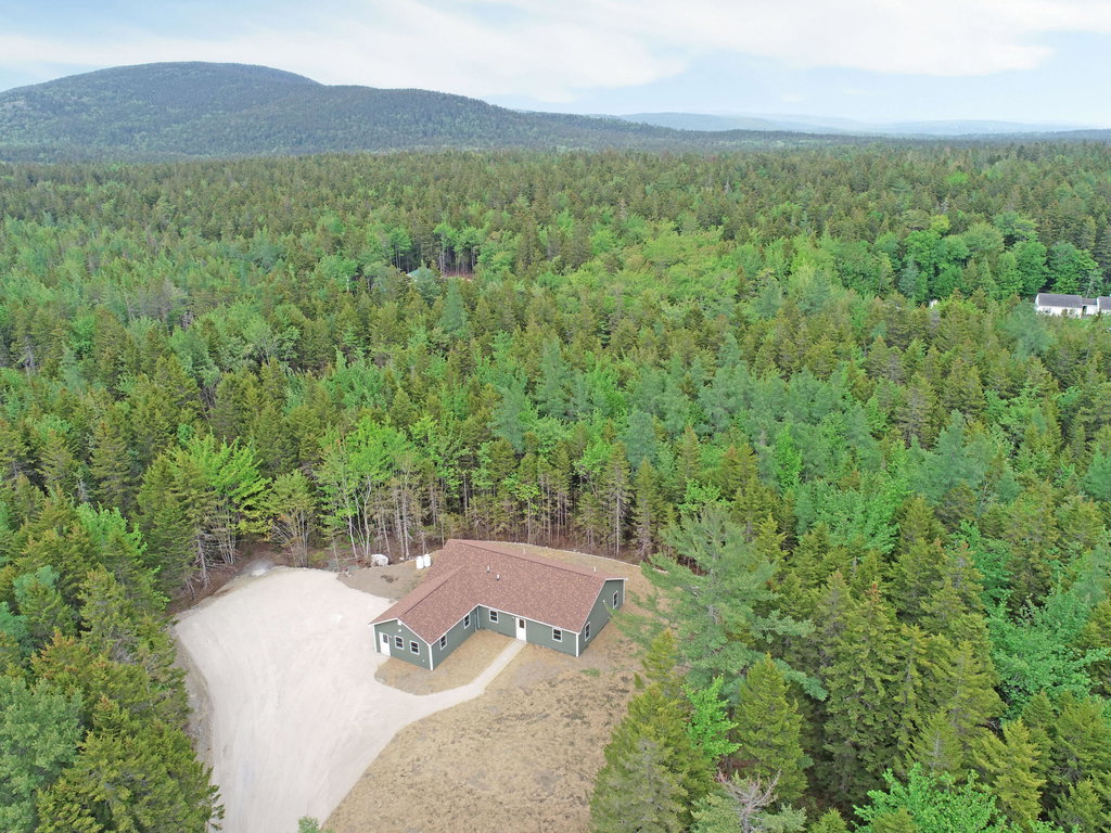 Aerial (3)
