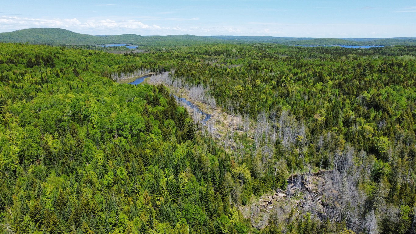 Lot 10 Morrison Brook Acres Oakfield