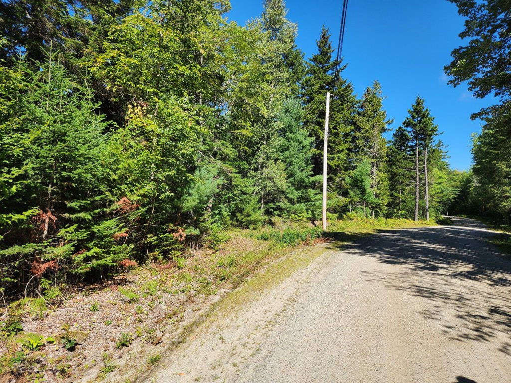 Mattson Lane, Blue Hill