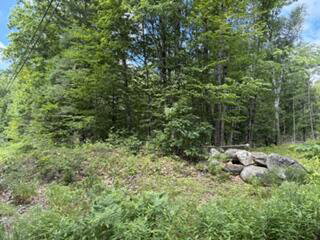 560 Old Greene Road Lewiston