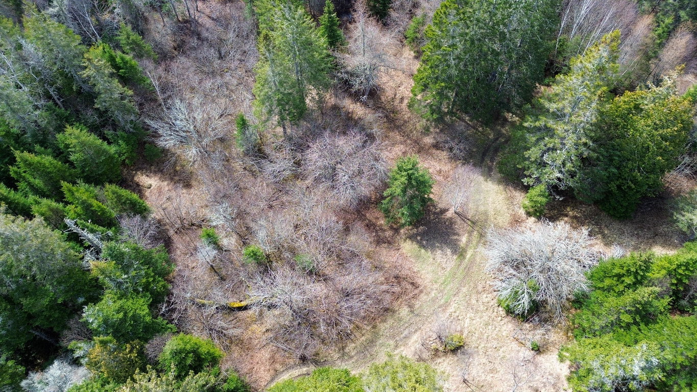 M WA 032 Plan 01 L 101.1, 101.6, 101.7  Trescott Twp