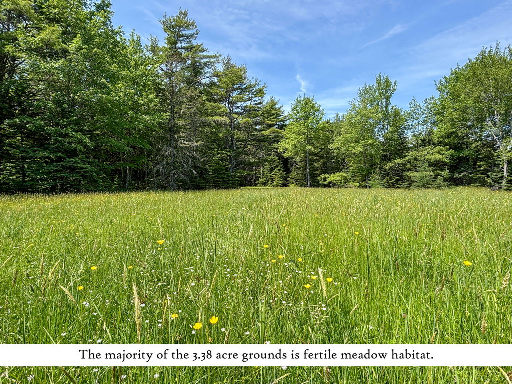 Grounds (6), label