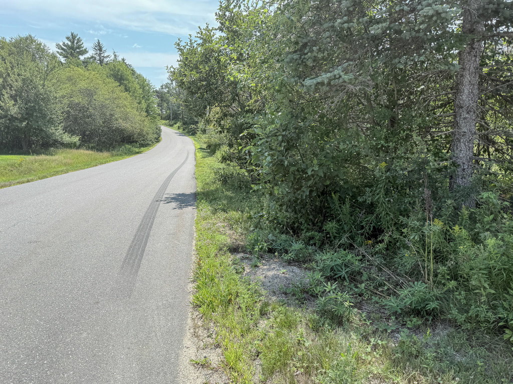 IMG_8764