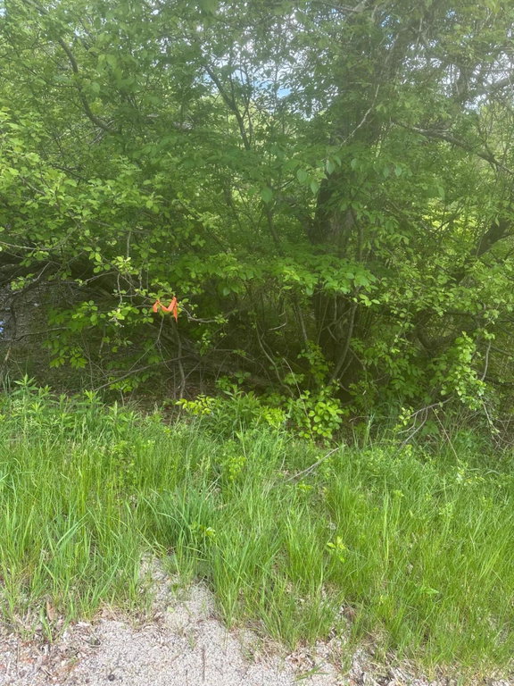 Lot 5 Unionville Road Steuben