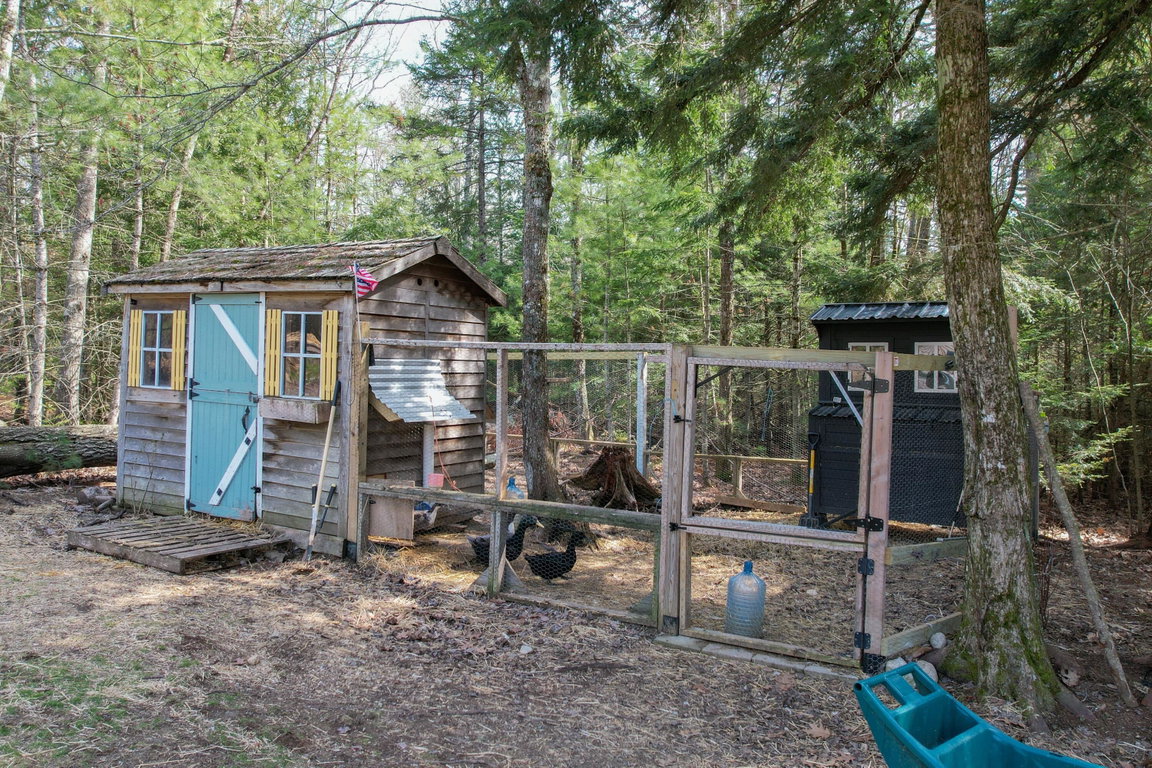 Chicken Coop