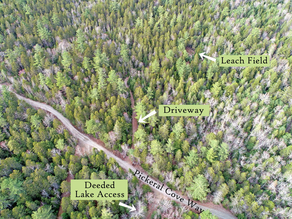 Aerial (1), label