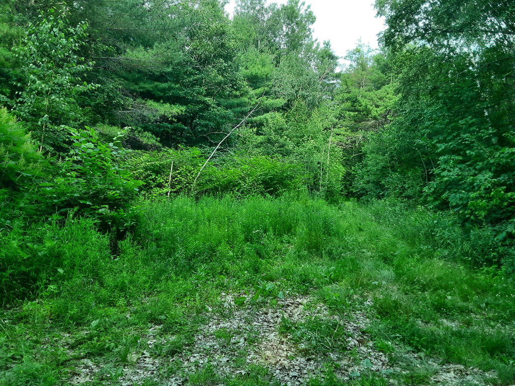 0 Ridge Road Jefferson