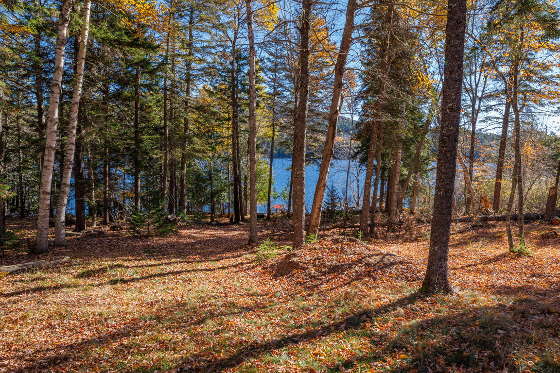 45 - Tremont Road Land - DTP