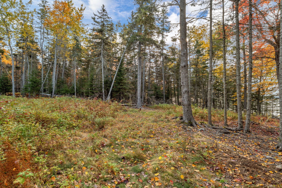 7-web-or-mls-495-north-deer-isle-land