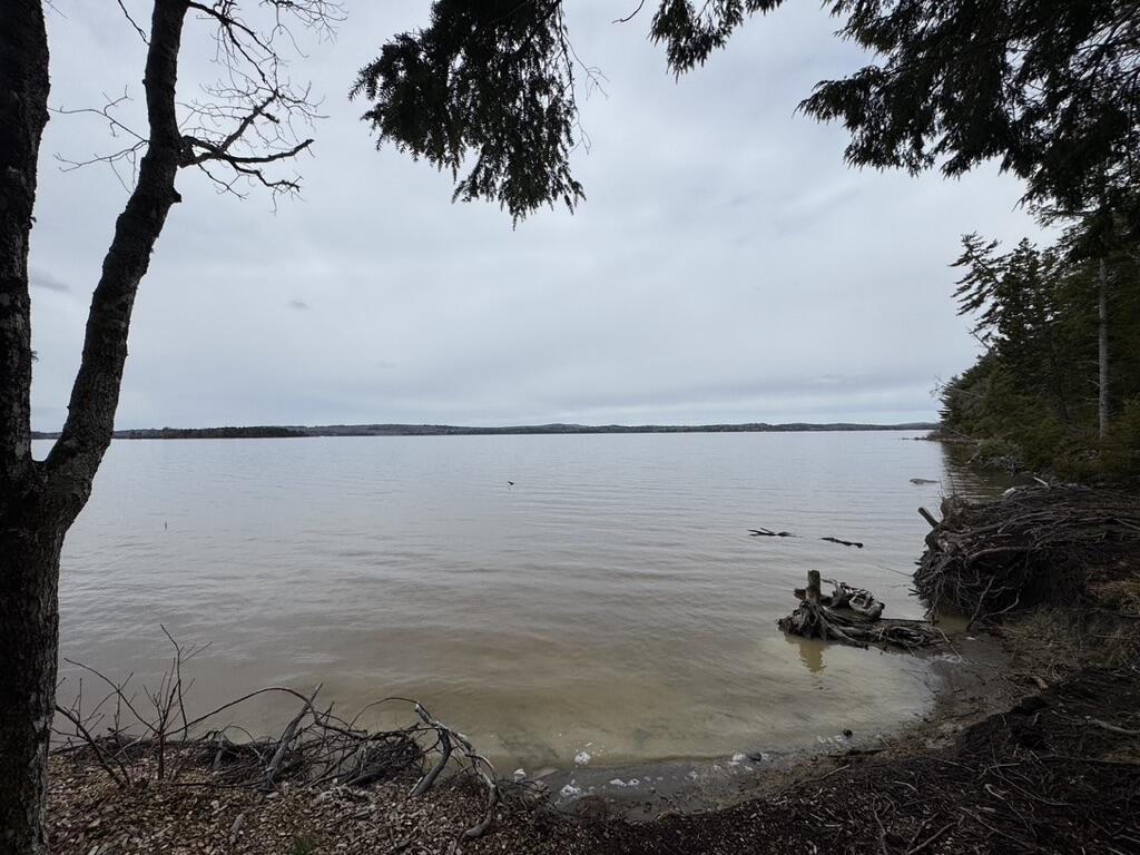 View of Graham Lake