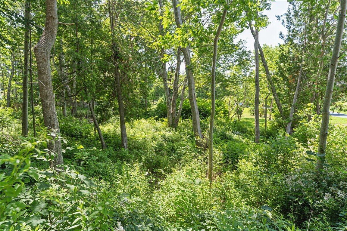 12-Land - Northeast Harbor-4