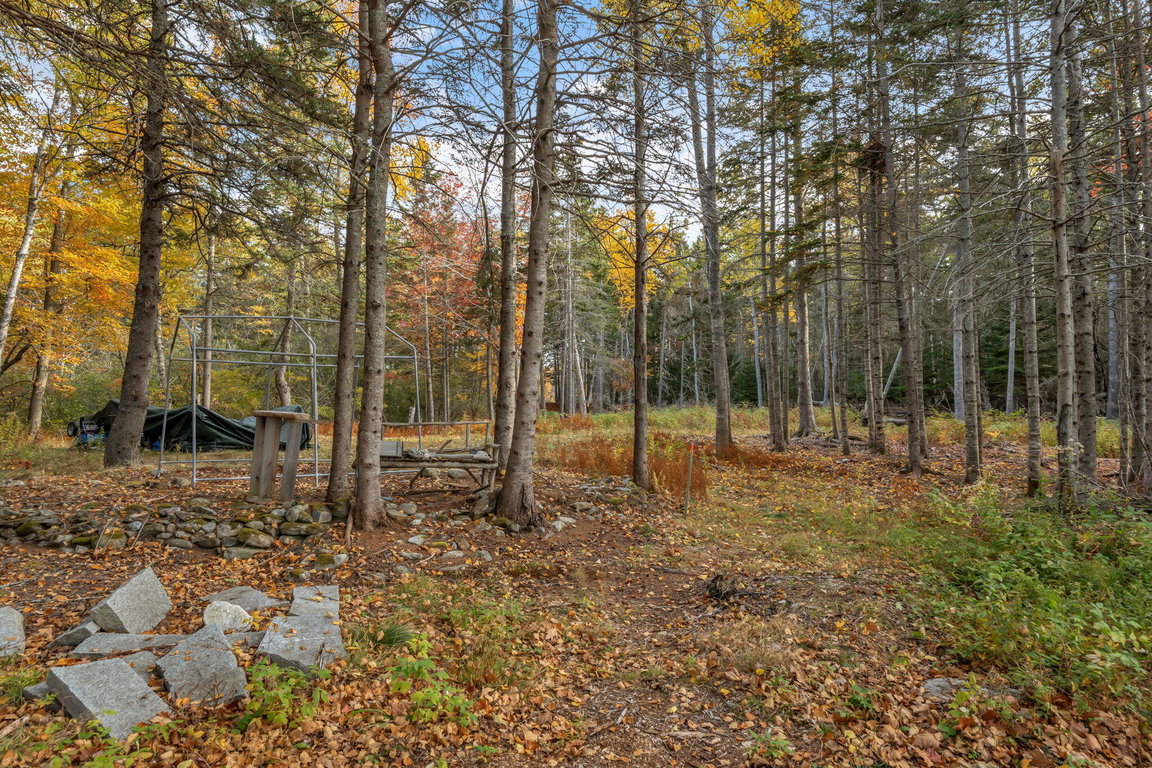 6-web-or-mls-495-north-deer-isle-land