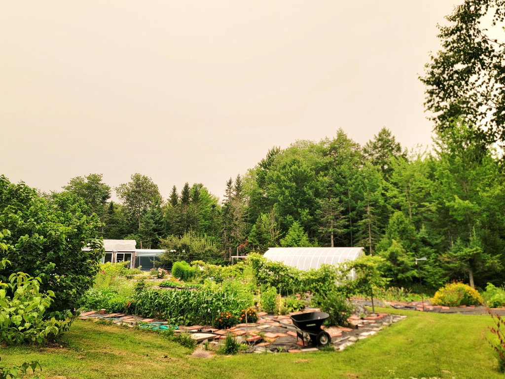 Extensive Gardens