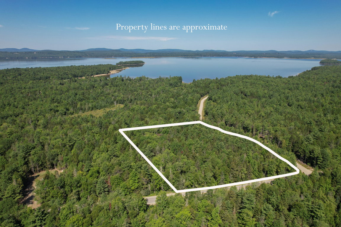 Property lines 1