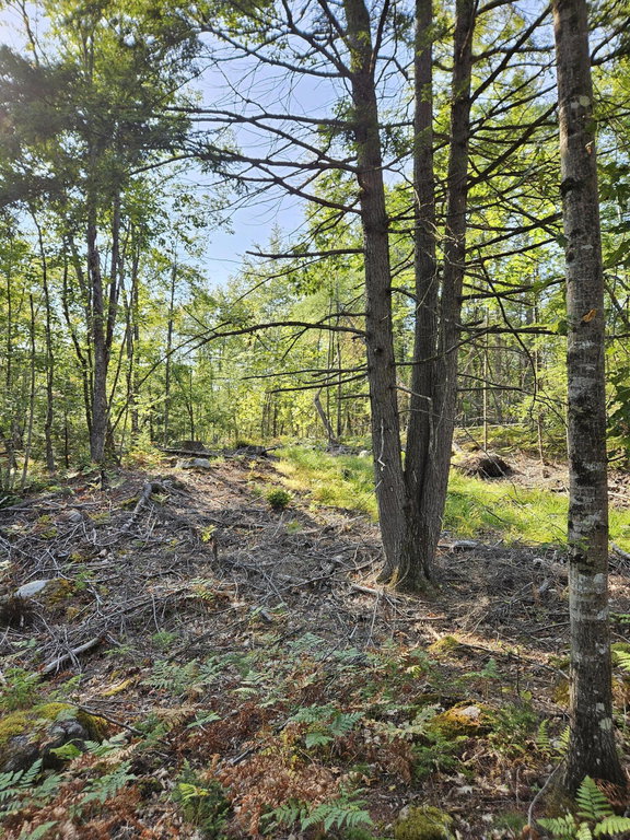 Lot A. Serenity Lane Oxford