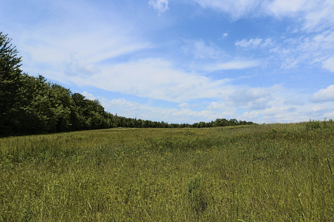 Lot 9