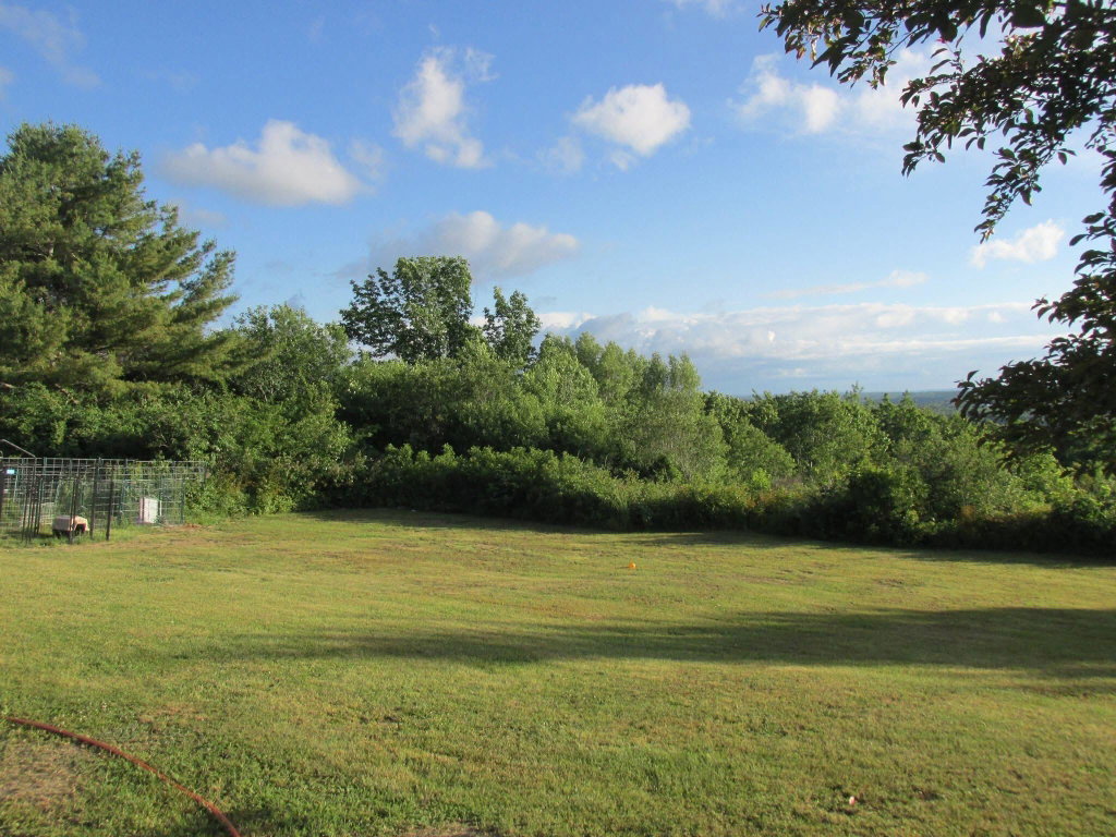 Rear yard