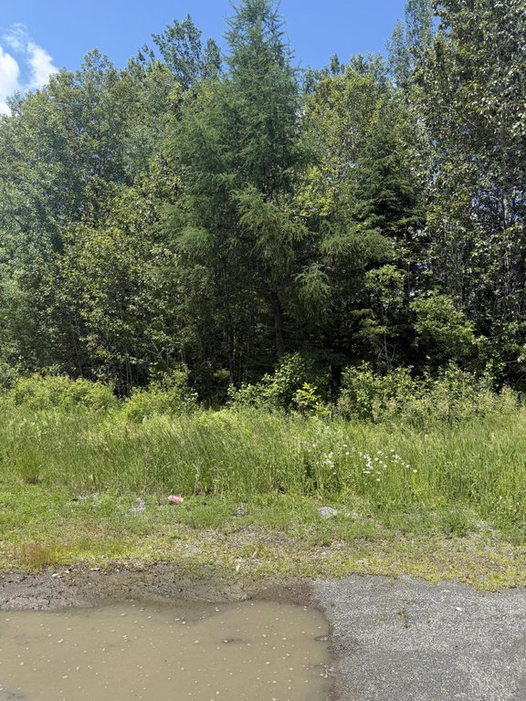 M10L18-9 Milo/Hughes Road Sebec