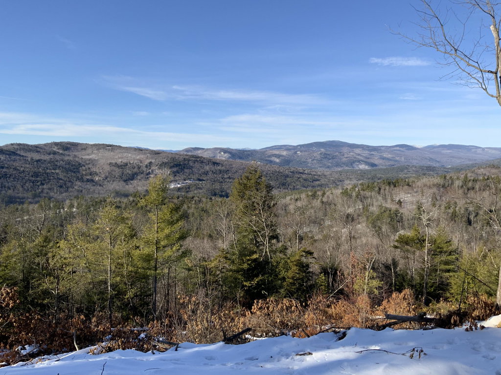 019 BEAR Lane Rumford
