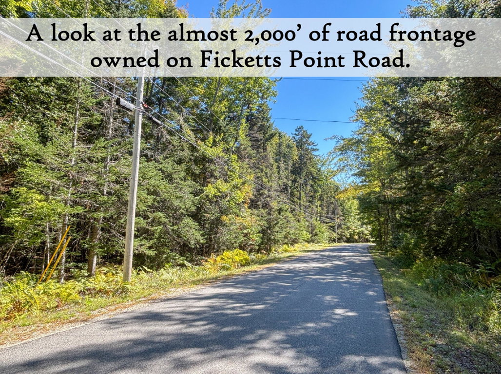 Frontage on Ficketts Point Road - label